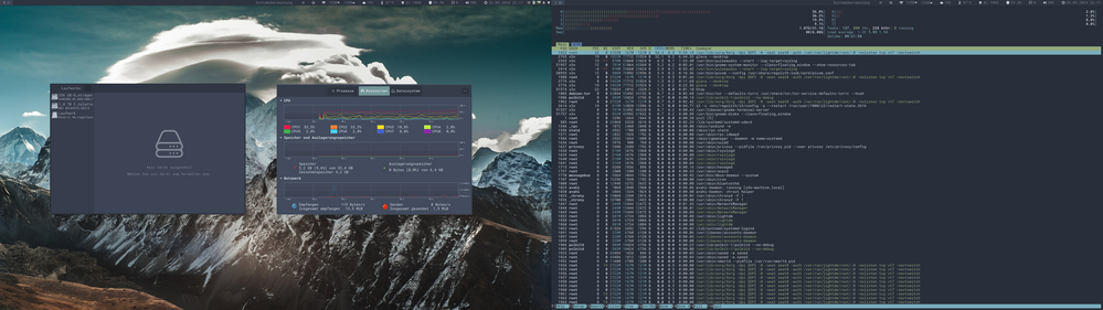 Laufwerke + Prozesse + htop Laufwerke + Prozesse + htop